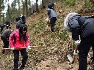 桐梓：不负春日好风光 义务植树添新绿