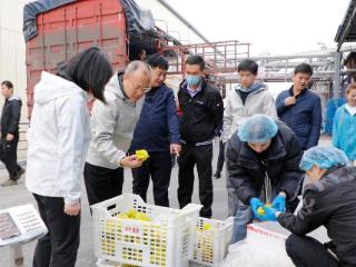 海南省定安县委书记刘峰松走访调研春节后工业企业复产情况