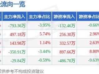 瑞松科技（688090）2月5日主力资金净卖出793.36万元