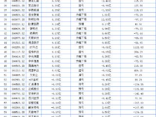 川股2024年业绩预告：百利天恒净利第一