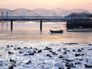 青岛唐岛湾海滨现大片海冰