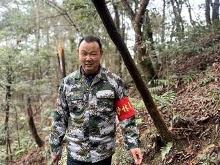 新春走基层丨一人一林一岛，春节里的“守山人”