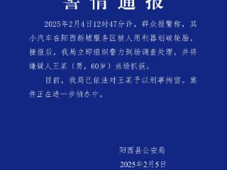 广东阳西县警方通报：一男子在服务区划破他人汽车轮胎被刑拘