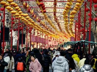 240万人涌入 槐荫文商旅融合激发市场活力