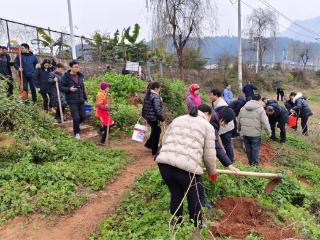 习水：植绿添彩 绘就生态新画卷