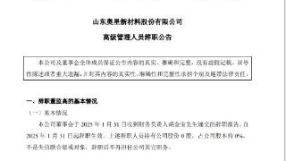 临沂这家上市公司9个月内两任财务负责人相继辞职