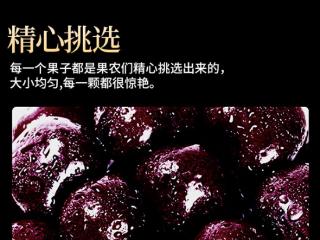 JJJJ级超级巨无霸：智利车厘子28.9元/斤发车（京东/顺丰包邮）