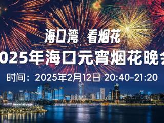 海口湾 看烟花！2025年海口元宵烟花晚会即将璀璨启幕