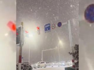 “雪窝子”又下大雪，烟台苹果树却因雪得“福”