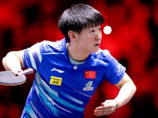 乒乓大满贯赛：女单4强诞生！孙颖莎4-0何卓佳，国乒4大主力晋级