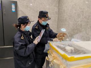 春节假期不打烊 进口“洋年货”通关忙 即到即查即放，为食品保鲜