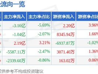 海光信息（688041）2月7日主力资金净卖出3.16亿元