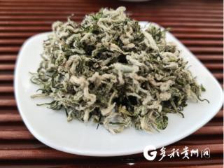 丰收黔南·看品牌丨 平塘县绿茶