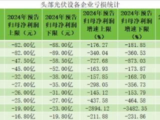 2024年光伏产业冰火两重天：装机量涨、企业利润跌，技术路线切换阵痛，2025年如何逆境翻盘？