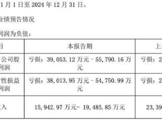 新元科技业绩承压，57岁终身名誉董事长朱业胜薪酬51万元