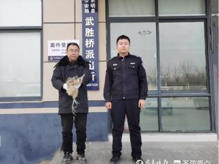 东明公安｜武胜桥派出所：警民携手救助国家“三有”保护动物