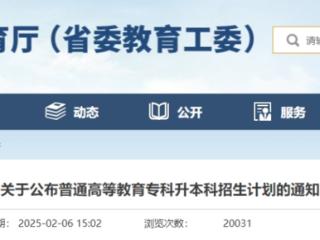 德州2所高校上榜！山东省2025年专升本招生计划公布