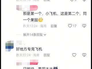 同一个果园，两次飞机坠落？ 海南当地回应：系往年旧闻