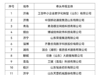 12家入库！山东公布省级制造业数字化转型促进中心名单