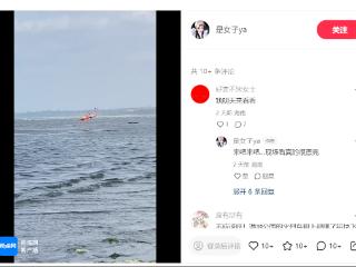 3只疑似“越狱”火烈鸟被网友拍到，海南澄迈富力红树湾湿地公园回应