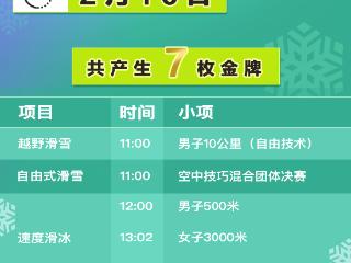 徐梦桃、宁忠岩再度领衔冲金 亚冬会今日比赛看点→