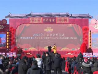 2025胡集书会在惠民县拉开帷幕