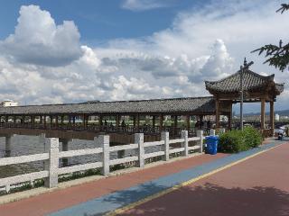 龙井统筹“三水”治理 让市民推窗见绿开门见景