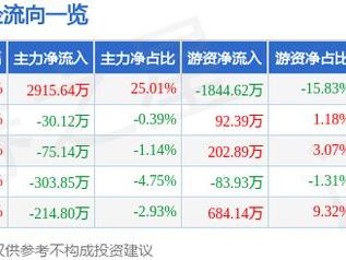 健麾信息（605186）2月10日主力资金净买入2915.64万元