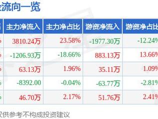 佳禾食品（605300）2月10日主力资金净买入3810.24万元