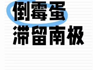 数百名游客因恶劣天气滞留南极，游轮体验师：近两周乔治王岛机场正常起飞率不到1/3