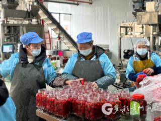 习水：复工复产正当时，一品红深耕新年 “火辣事业”