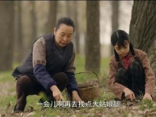 淮南有一个六姊妹游园，是何家祖孙俩挖野菜的地方