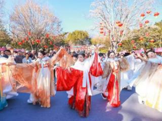 “游历下新春 品年味正浓”春节假期历下文旅市场迸发活力