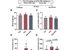 保肝护肝新发现：荷蓬茶源素（HTE）降低转氨酶、修复受损肝细胞