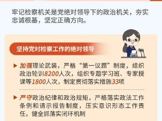 两会报告｜一图读懂青岛市人民检察院工作报告