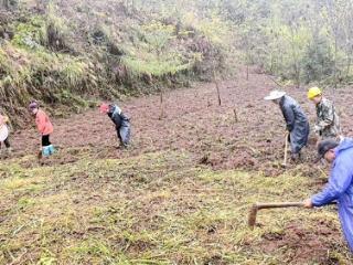 习水：建沃野良田 筑粮安根基