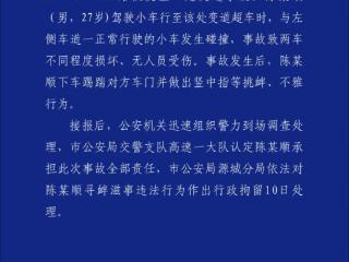 广东河源警方通报“男子驾车变道撞车后挑衅对方”：行拘10日