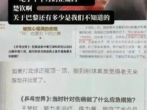 王楚钦采访说输的不能再输了，回应能否再上洛杉矶奥运会