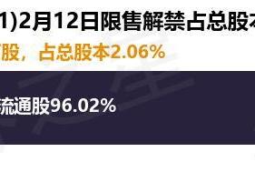 福石控股（300071）1981.02万股限售股将于2月12日解禁，占总股本2.06%