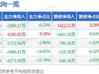 孩子王（301078）2月11日主力资金净卖出2900.21万元