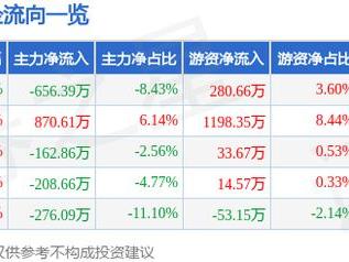 漱玉平民（301017）2月11日主力资金净卖出656.39万元