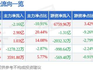 创业慧康（300451）2月11日主力资金净卖出2.16亿元