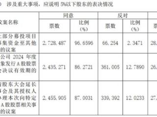 盛美上海延长45亿定增决议有效期议案获通过：但超12%中小股东投下30余万股反对票