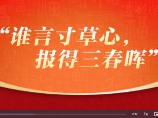 团圆年丨温故·贺新：“谁言寸草心，报得三春晖”