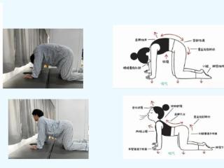 春节后身体“重启计划”：5个科学康复技巧助你满血复工