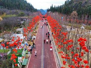 兴义阳光谷花海盛宴：梅花绚烂，“花小丫”点燃节日热情