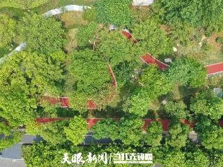 承受适应能力强、恢复速度快！贵州加快打造韧性城市