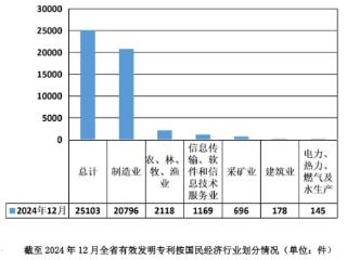 截至2024年底 贵州省有效发明专利达25103件