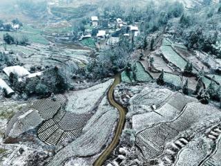 春雪落山间 农家入画来