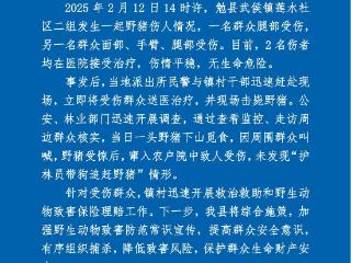 陕西勉县发生野猪伤人事件：两人受伤 野猪被当场击毙